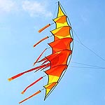 single line kites