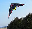 bat kite